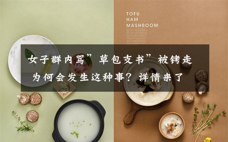 女子群内骂”草包支书”被铐走 为何会发生这种事?详情来了