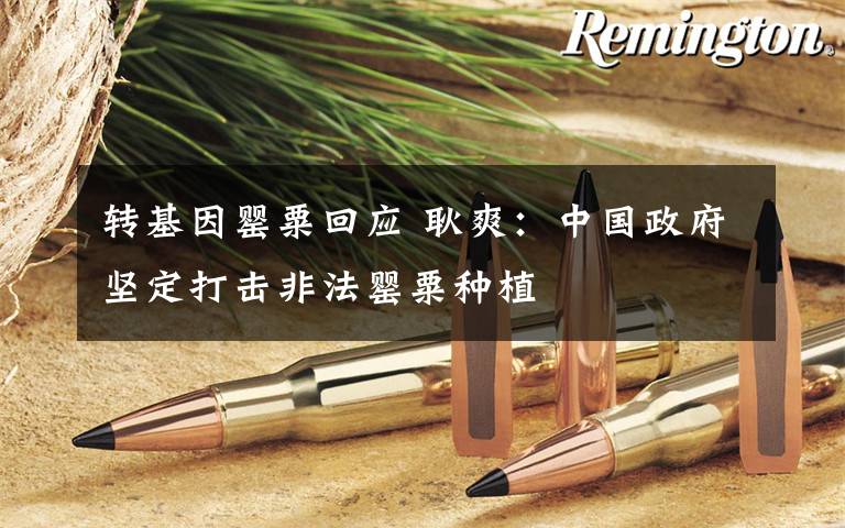 转基因罂粟回应 耿爽:中国政府坚定打击非法罂粟种植