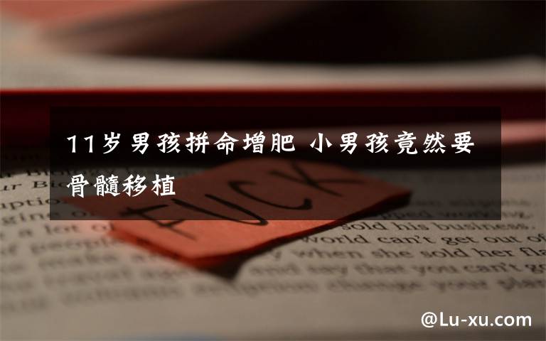 11岁男孩拼命增肥 小男孩竟然要骨髓移植