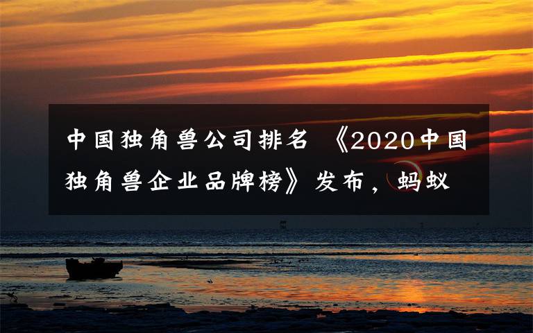 中国独角兽公司排名 《2020中国独角兽企业品牌榜》发布,蚂蚁集团、字节跳动、滴滴出行排名前三