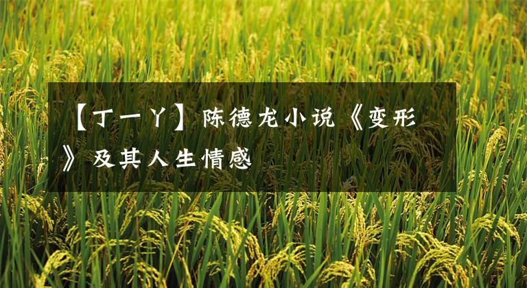 【丁一丫】陈德龙小说《变形》及其人生情感