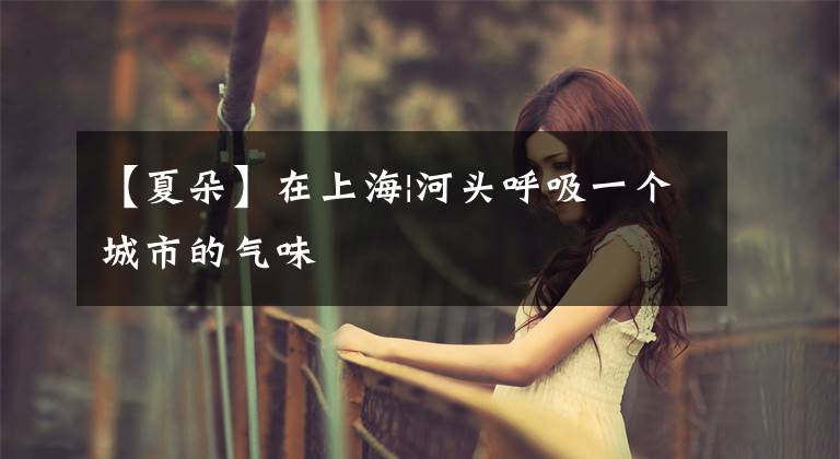 【夏朵】在上海|河头呼吸一个城市的气味