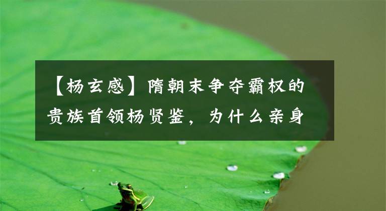【杨玄感】隋朝末争夺霸权的贵族首领杨贤鉴，为什么亲身受到其他地方的退场？(莎士比亚)(莎士比亚)(哈利波特(Harry  Potters))。