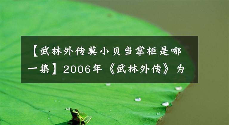 【武林外传莫小贝当掌柜是哪一集】2006年《武林外传》为1000万韩元，共80次，姚晨出场费8万燕妮16万韩元。