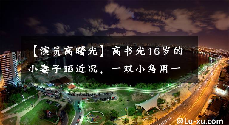 【演员高曙光】高书光16岁的小妻子晒近况,一双小鸟用一条腿闭上眼睛,4岁的儿子已经有精英范了。