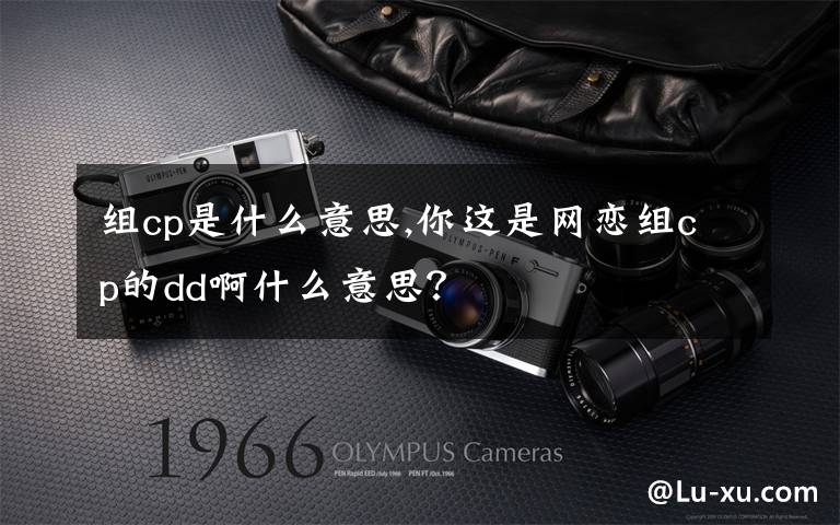 组cp是什么意思,你这是网恋组cp的dd啊什么意思?