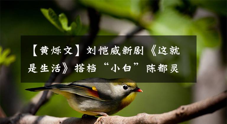 【黄烁文】刘恺威新剧《这就是生活》搭档“小白”陈都灵，平衡家庭与职场关系