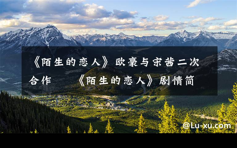 《陌生的恋人》欧豪与宋茜二次合作     《陌生的恋人》剧情简介