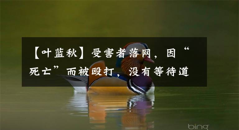 【叶蓝秋】受害者落网,因“死亡”而被殴打,没有等待道歉。