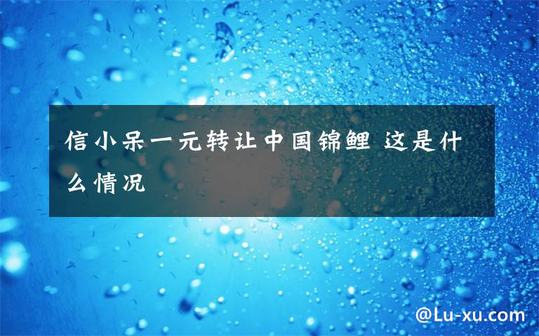 信小呆一元转让中国锦鲤 这是什么情况