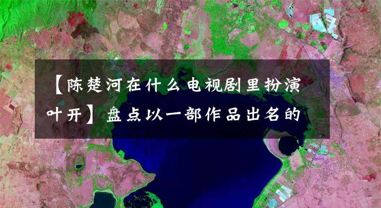 【陈楚河在什么电视剧里扮演叶开】盘点以一部作品出名的明星