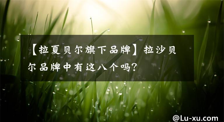 【拉夏贝尔旗下品牌】拉沙贝尔品牌中有这八个吗?