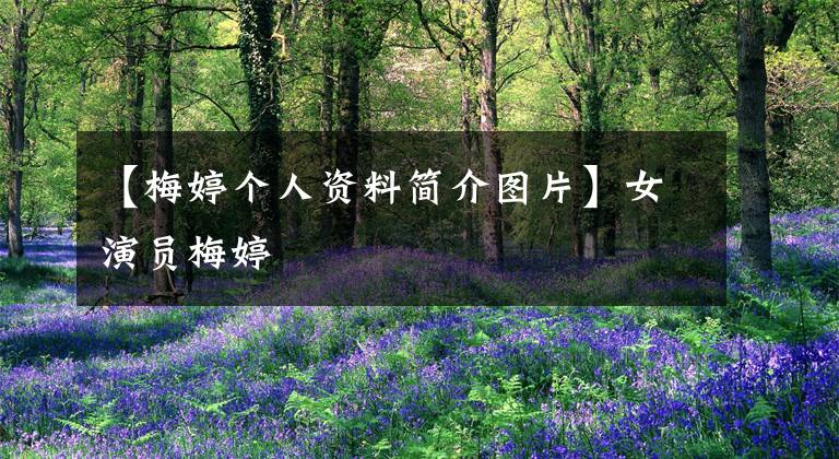 【梅婷个人资料简介图片】女演员梅婷