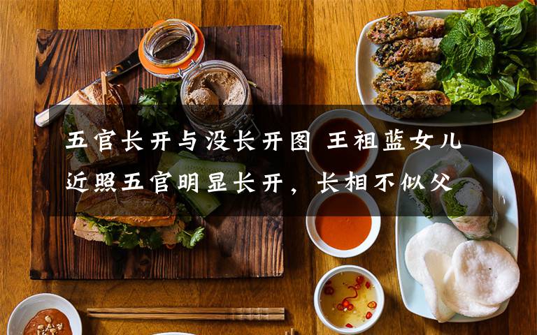 五官长开与没长开图 王祖蓝女儿近照五官明显长开,长相不似父亲