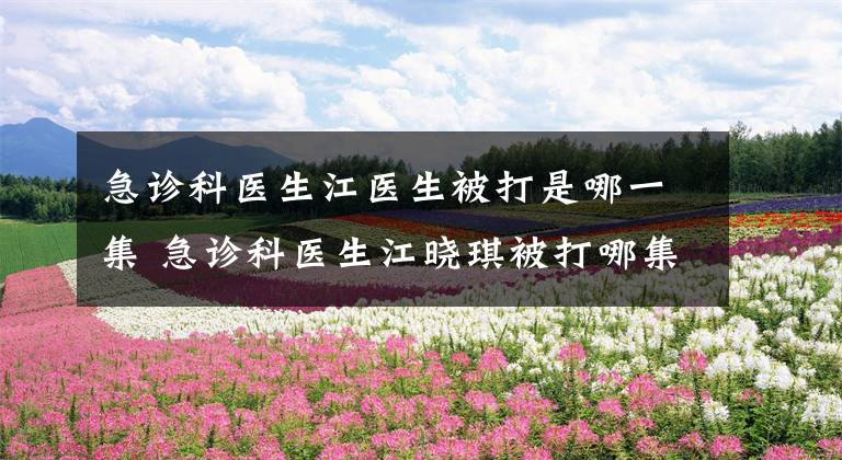 急诊科医生江医生被打是哪一集 急诊科医生江晓琪被打哪集 急诊科医生林雯江晓琪打架