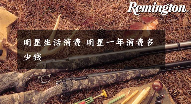 明星生活消费 明星一年消费多少钱