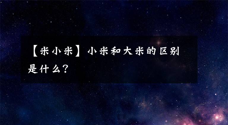 【米小米】小米和大米的区别是什么?