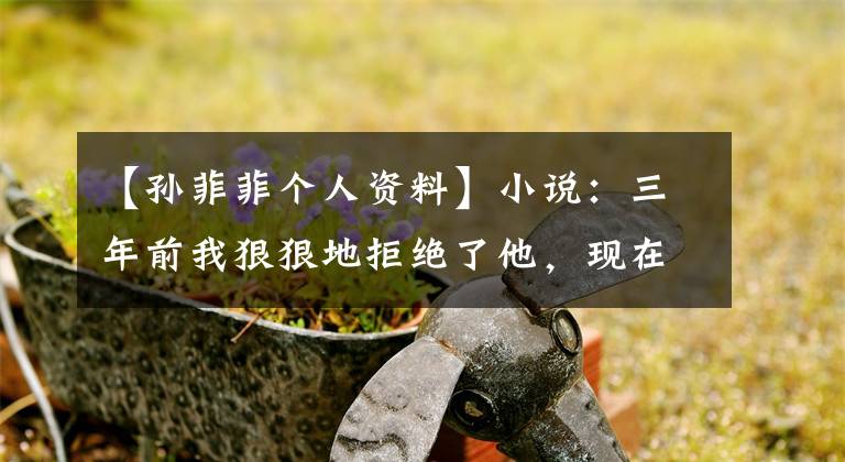 【孙菲菲个人资料】小说：三年前我狠狠地拒绝了他，现在又见面了，这篇虎文主动送上门