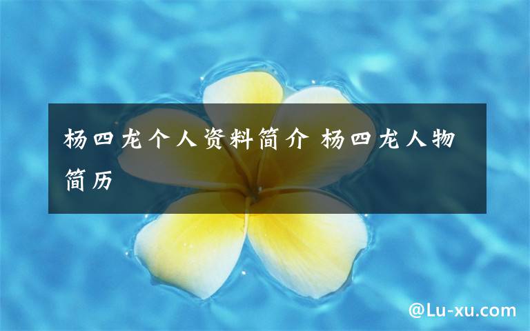 杨四龙个人资料简介 杨四龙人物简历
