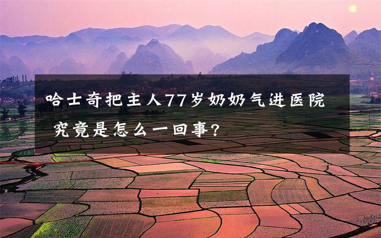 哈士奇把主人77岁奶奶气进医院 究竟是怎么一回事?