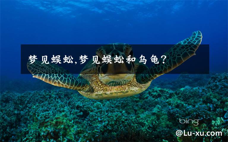 梦见蜈蚣,梦见蜈蚣和乌龟？