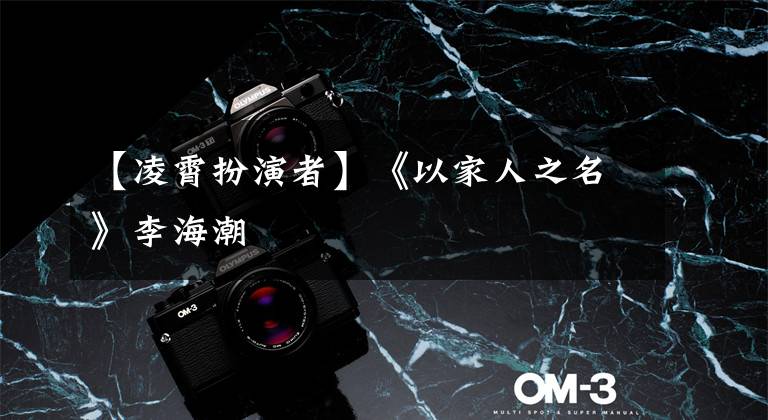 【凌霄扮演者】《以家人之名》李海潮