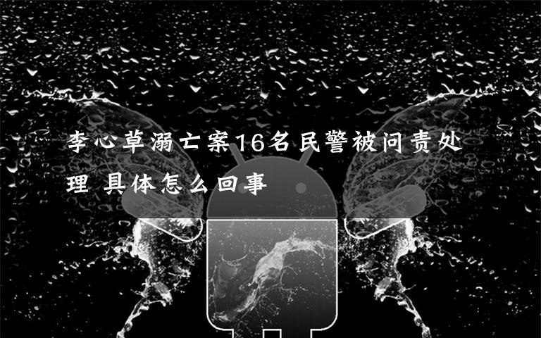 李心草溺亡案16名民警被问责处理 具体怎么回事