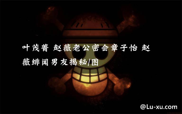 叶茂菁 赵薇老公密会章子怡 赵薇绯闻男友揭秘/图