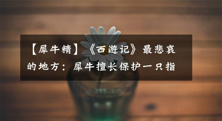【犀牛精】《西游记》最悲哀的地方:犀牛擅长保护一只指眼,但孙悟空把锯子剪掉了。