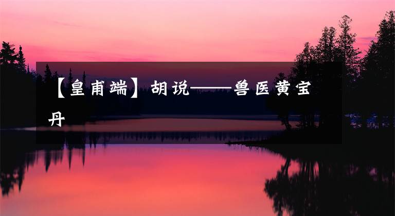 【皇甫端】胡说——兽医黄宝丹