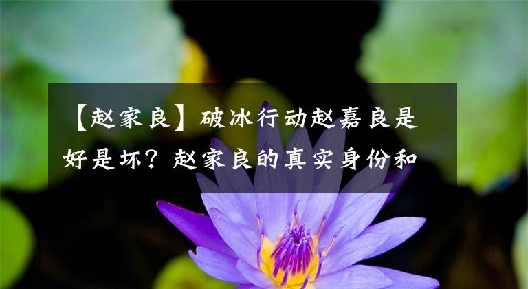 【赵家良】破冰行动赵嘉良是好是坏?赵家良的真实身份和李飞有什么关系?