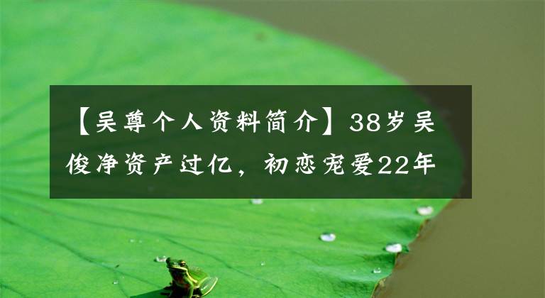 【吴尊个人资料简介】38岁吴俊净资产过亿，初恋宠爱22年！像这样的高富帅，请给我12个。