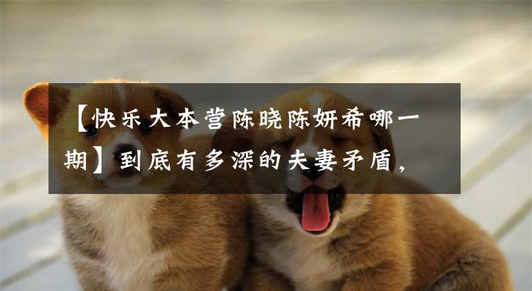 【快乐大本营陈晓陈妍希哪一期】到底有多深的夫妻矛盾,陈小千燕市脸上的凉膜?