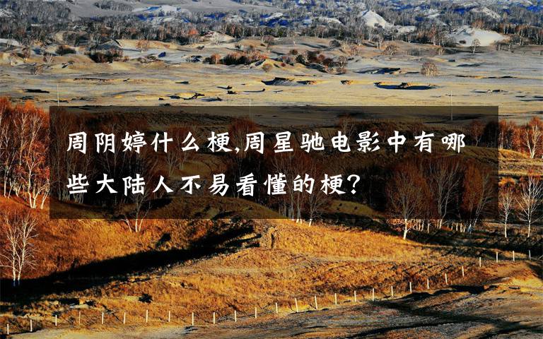 周阴婷什么梗,周星驰电影中有哪些大陆人不易看懂的梗？