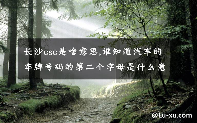 长沙csc是啥意思,谁知道汽车的车牌号码的第二个字母是什么意思