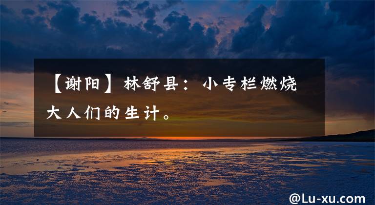 【谢阳】林舒县:小专栏燃烧大人们的生计。