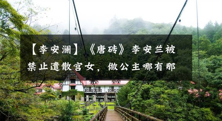 【李安澜】《唐砖》李安兰被禁止遣散宫女,做公主哪有那么容易?