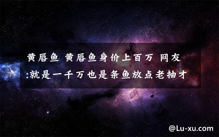黄唇鱼 黄唇鱼身价上百万 网友:就是一千万也是条鱼放点老抽才够味