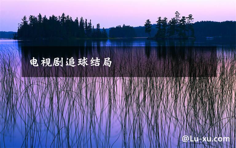 电视剧追球结局