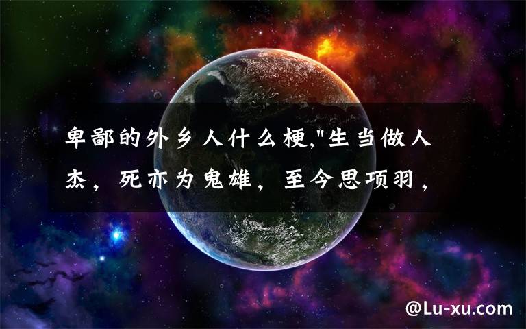 卑鄙的外乡人什么梗,