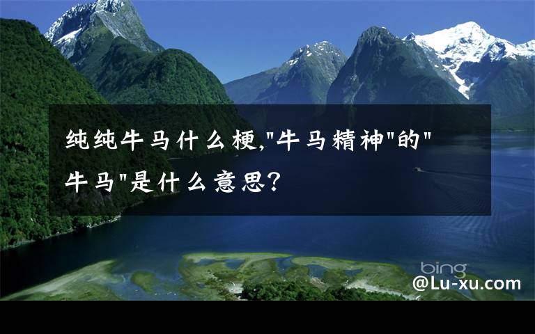 纯纯牛马什么梗,