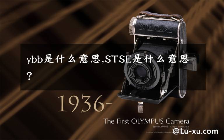 ybb是什么意思,STSE是什么意思?