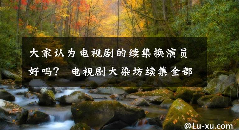 大家认为电视剧的续集换演员好吗? 电视剧大染坊续集全部演员表