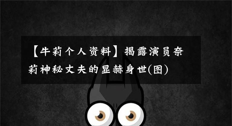 【牛莉个人资料】揭露演员奈莉神秘丈夫的显赫身世(图)