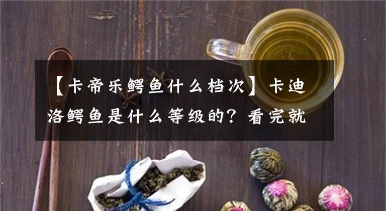 【卡帝乐鳄鱼什么档次】卡迪洛鳄鱼是什么等级的?看完就知道了!