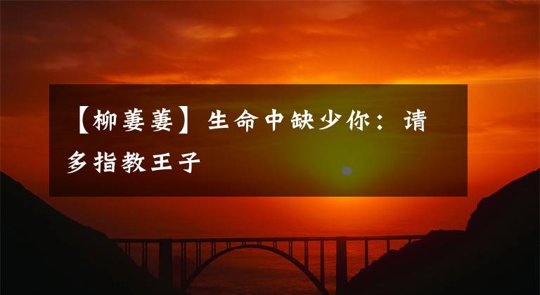 【柳萋萋】生命中缺少你:请多指教王子