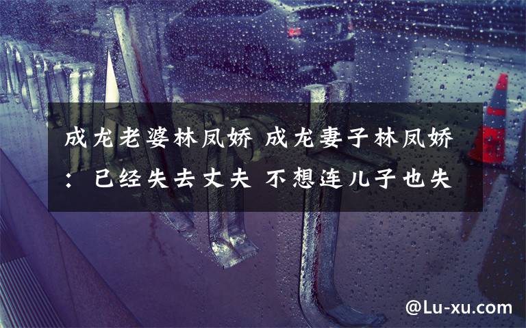 成龙老婆林凤娇 成龙妻子林凤娇:已经失去丈夫 不想连儿子也失去