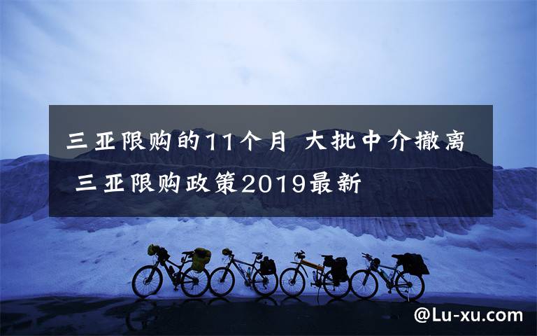 三亚限购的11个月 大批中介撤离 三亚限购政策2019最新