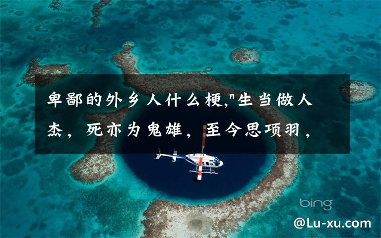 卑鄙的外乡人什么梗,