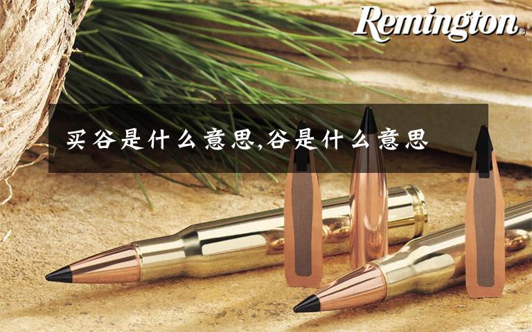 买谷是什么意思,谷是什么意思